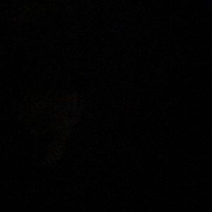 Meet your Posher, Gage